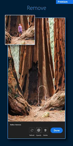 Lightroom AI Photo Editor | Games | XWorld