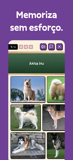 Squiz - Aprende enquanto jogas | Jogos | XWorld Squiz - Aprende enquanto jogas | Jogos | XWorld