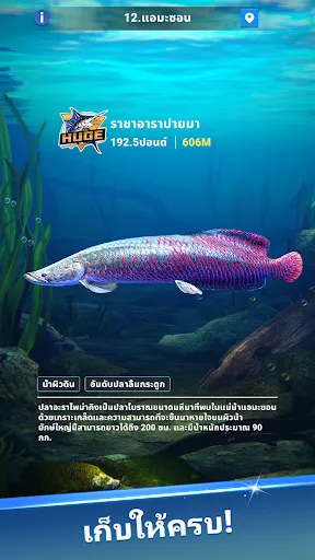 Fishing Travel | เกม | XWorld