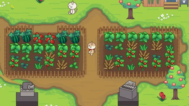 Rừng mèo(Cat Forest) | Games | XWorld