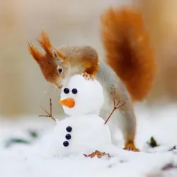 XWorld | 1000 слов