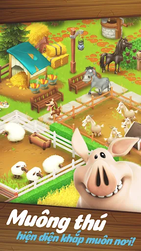 Hay Day | 游戏 | XWorld