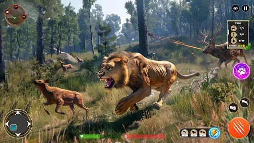 Lion Games 3D Animal Simulator | Games | XWorld