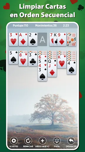 Solitario - Juego de Cartas | juego | XWorld