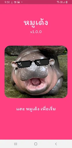 หมูเด้ง | เกม | XWorld