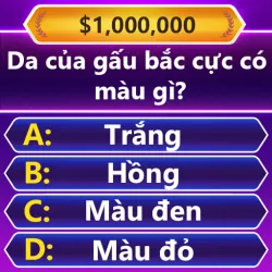 XWorld | Trivia Master -trò chơi đố chữ