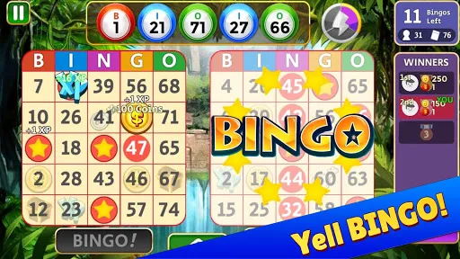 Bingo Star | Games | XWorld