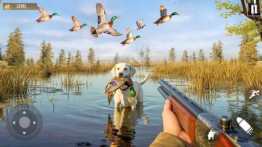 Duck Hunting 3d - Fps Shooting | Games | XWorld Duck Hunting 3d - Fps Shooting | Games | XWorld