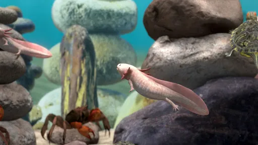 Fish Farm Relax: 3D Aquarium | Permainan | XWorld Fish Farm Relax: 3D Aquarium | Permainan | XWorld