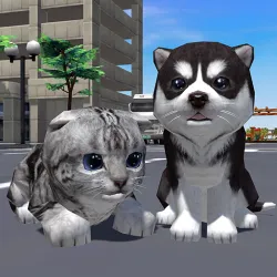 XWorld | Cute Pocket Cat And Puppy 3D