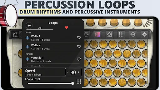 Accordion Chromatic Cassoto | Games | XWorld