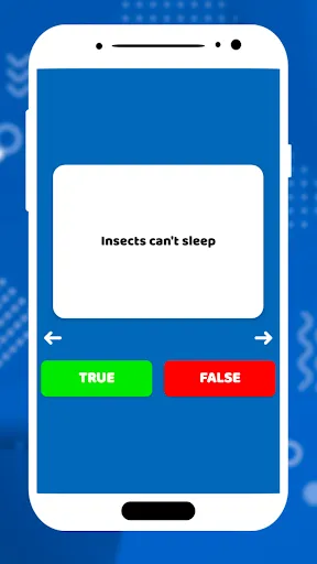 True or False Questions | Games | XWorld True or False Questions | Games | XWorld