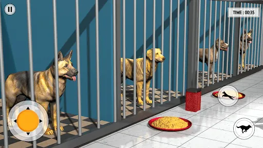 Animal Shelter Simulator Game | 游戏 | XWorld Animal Shelter Simulator Game | 游戏 | XWorld