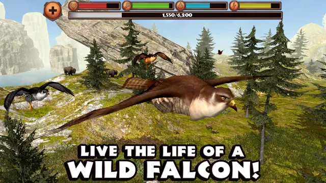 Falcon Simulator | Jogos | XWorld