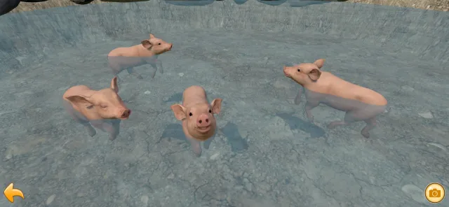 Piglet | Games | XWorld