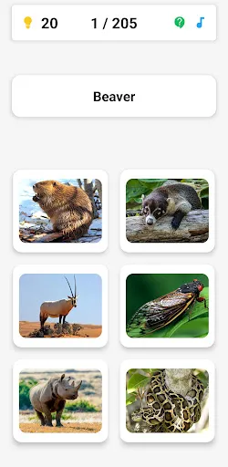 Animal Quiz: Guess the Animal | Games | XWorld