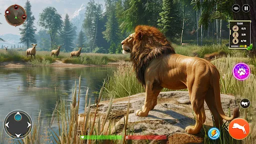 Lion Games 3D Animal Simulator | Games | XWorld