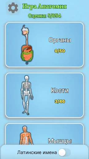 Игра Анатомия | Игры | XWorld