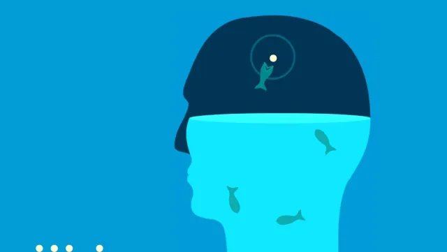 Feed the Head | Jogos | XWorld