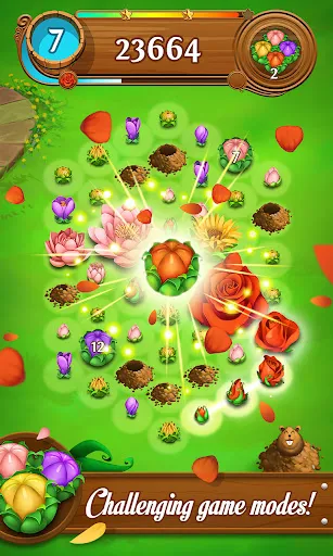Blossom Blast Saga | Games | XWorld