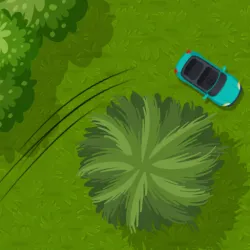 XWorld | Drift Woods