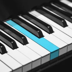 XWorld | Real Piano electronic keyboard XWorld | Real Piano electronic keyboard