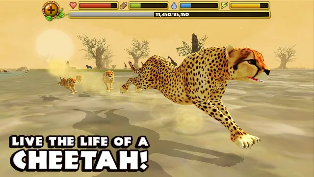 Cheetah Simulator | Games | XWorld