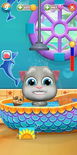 Virtual Pet Bob - Funny Cat | Games | XWorld