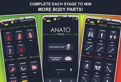 Anato Trivia - Quiz Anatomía | 游戏 | XWorld