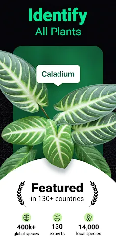 Plantum - Plant Identifier | 游戏 | XWorld