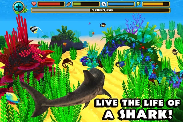 Wildlife Simulator: Shark | Jogos | XWorld