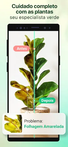 Plant Parent-Guia de Cuidados | Jogos | XWorld