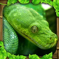 XWorld | Snake Simulator