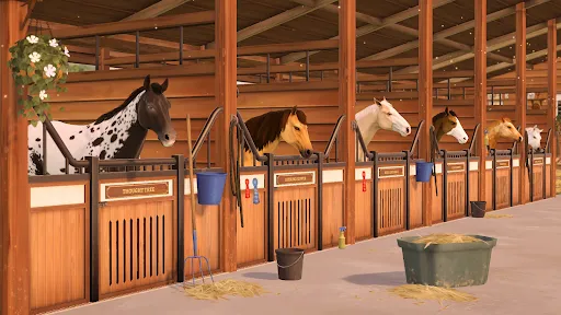 Rival Stars Horse Racing | Games | XWorld