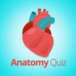 XWorld | Anatomy and Physiology Quiz.