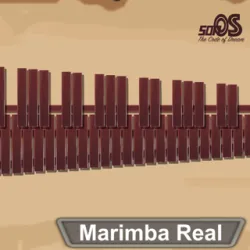 XWorld | Marimba, Xylophone, Vibraphone