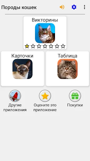 Кошки - Тест о породах кошек | Игры | XWorld Кошки - Тест о породах кошек | Игры | XWorld