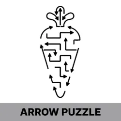 XWorld | Arrow Escape: Maze Puzzle Out XWorld | Arrow Escape: Maze Puzzle Out