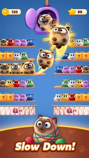 Meow Sort-Color Puzzle Master | Games | XWorld Meow Sort-Color Puzzle Master | Games | XWorld