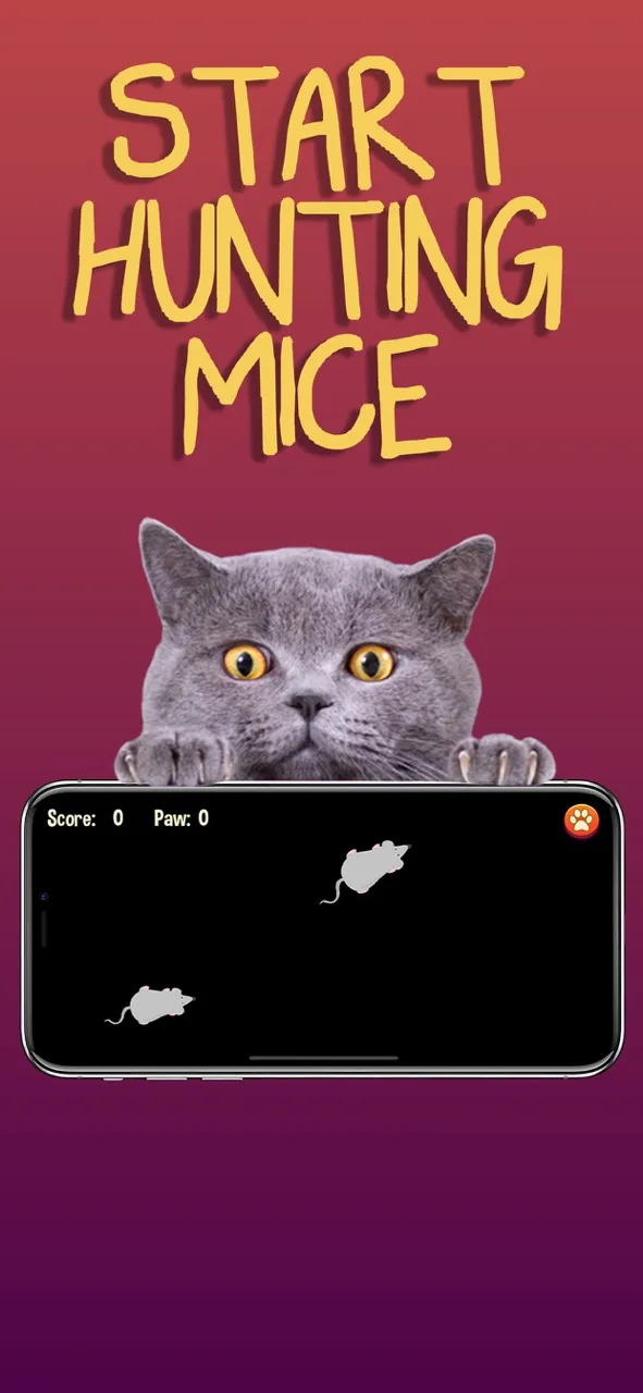 Game Kucing | Permainan | XWorld
