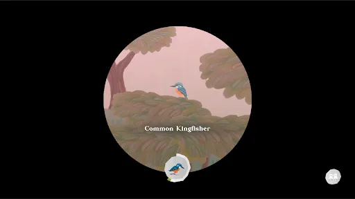 Junior Birder Adventure | Permainan | XWorld Junior Birder Adventure | Permainan | XWorld