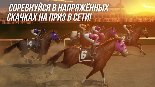 Photo Finish Horse Racing | Игры | XWorld Photo Finish Horse Racing | Игры | XWorld