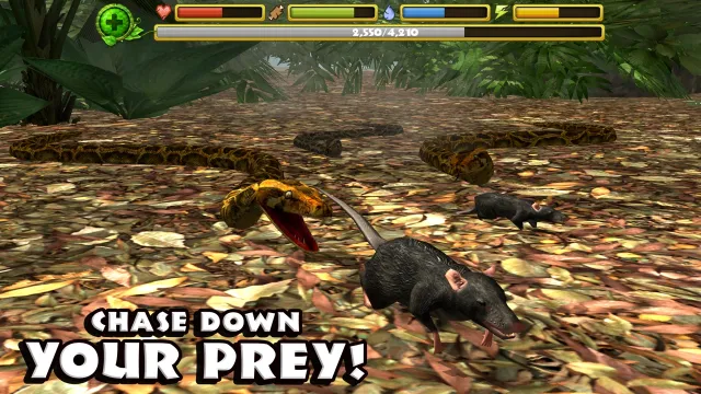 Snake Simulator | Игры | XWorld