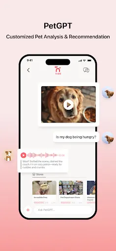 Traini-Dog Translator&Training | 游戏 | XWorld Traini-Dog Translator&Training | 游戏 | XWorld