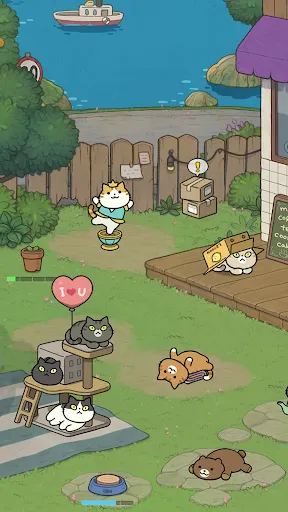 แมวมหัศจรรย์ | เกม | XWorld