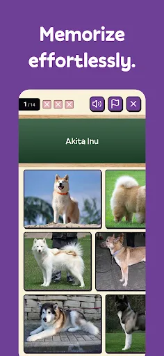 Squiz - Learn as you play | เกม | XWorld Squiz - Learn as you play | เกม | XWorld