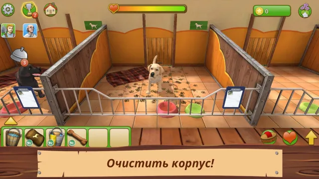 Pet World Премиум | Игры | XWorld