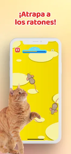 Juego para Gatos－Raton y Peces | juego | XWorld