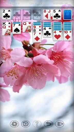 Solitaire 2026 | Игры | XWorld