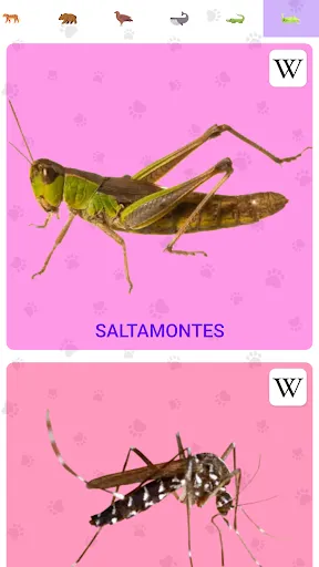 Sonidos De Animales | juego | XWorld